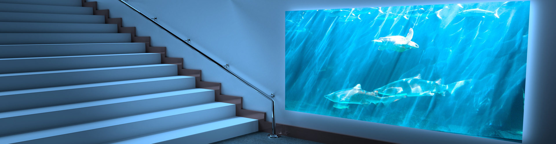 Installation d'aquarium H²O Design inc.